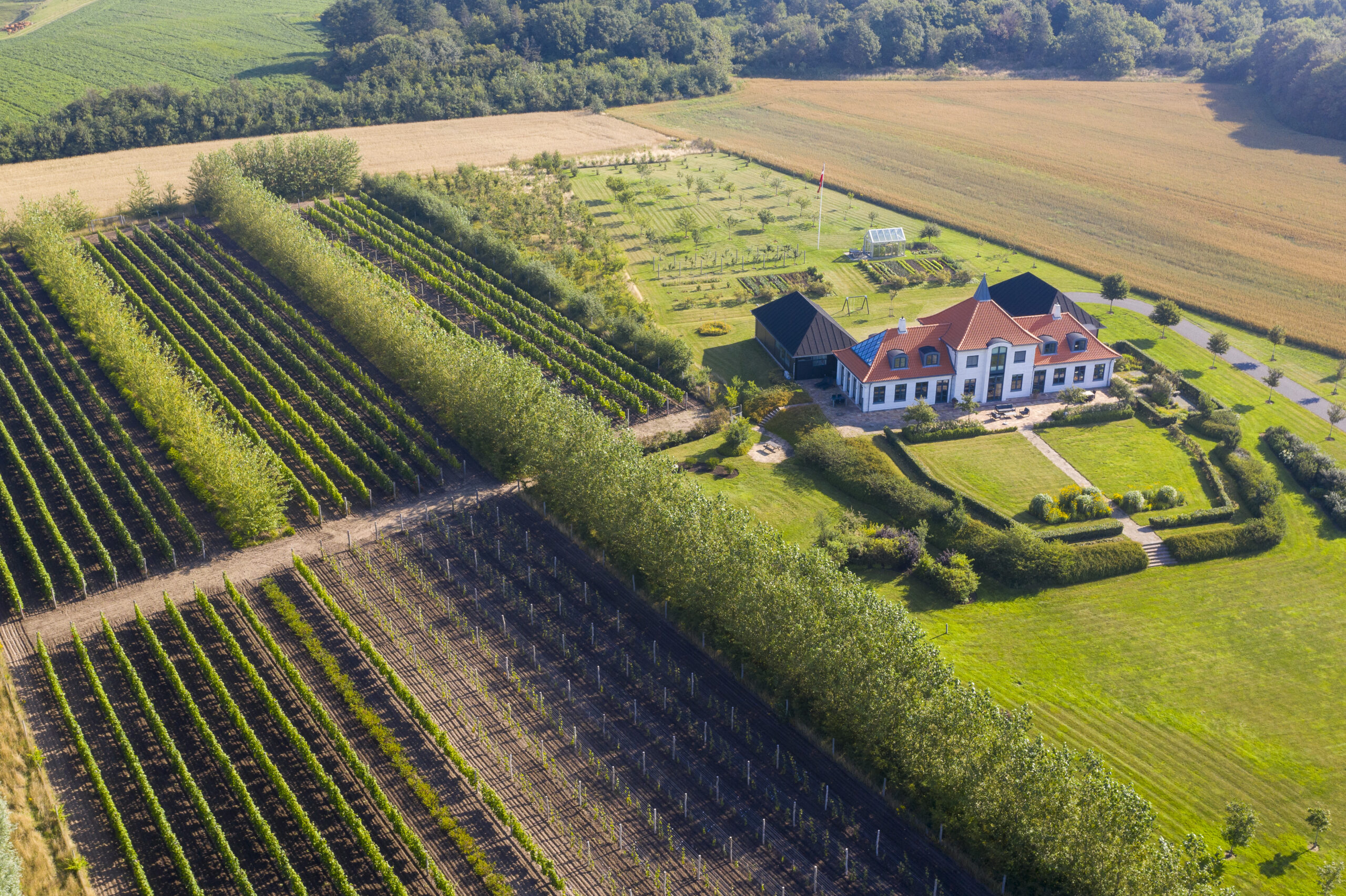 Dansk vindag – åben vinmark